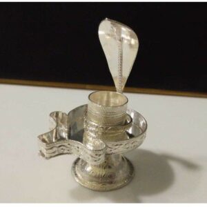 SN SHIVLING