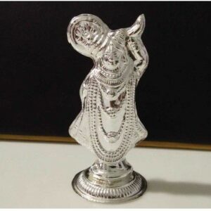 PM/100 SHRINATHJI