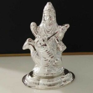 PM/100 SARASWATI