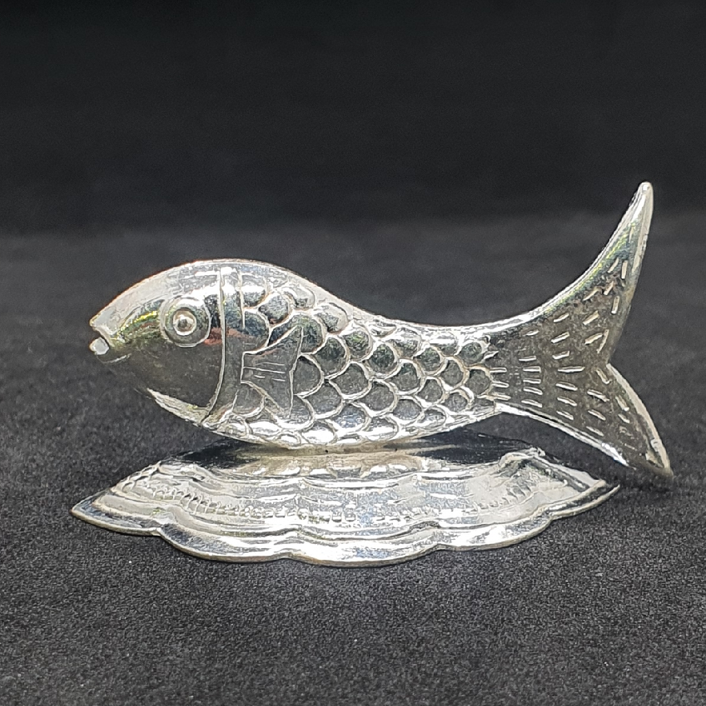 Silver Fish