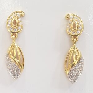 22.k Fancy Earrings