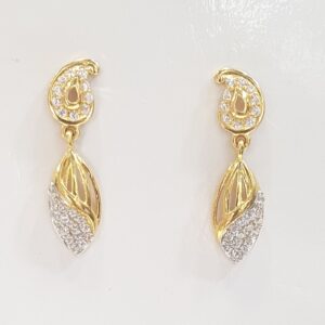 22.k Fancy Earrings
