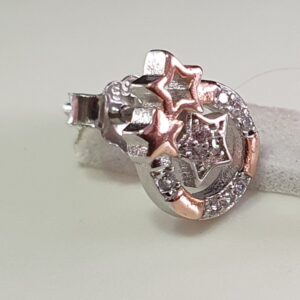 925 Sterling Silver Roj Gold Star Design Earrings