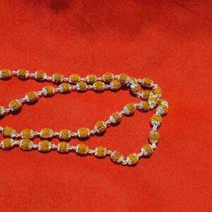 Silver rudrax men's mala