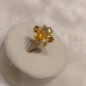 Ladies rings
