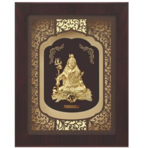 Medium Shivji Elite Frame
