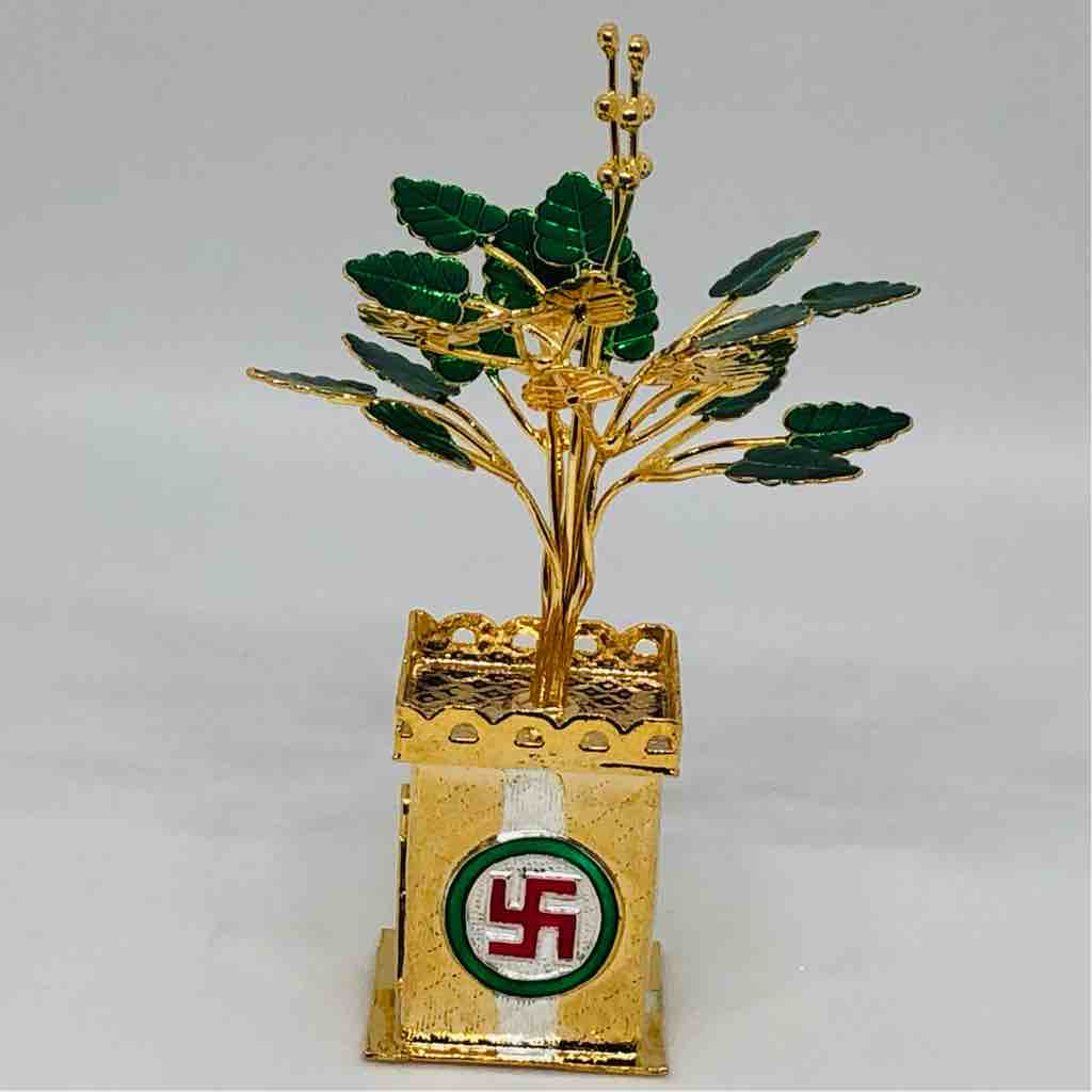 exclusive tulsi kyara for gift article