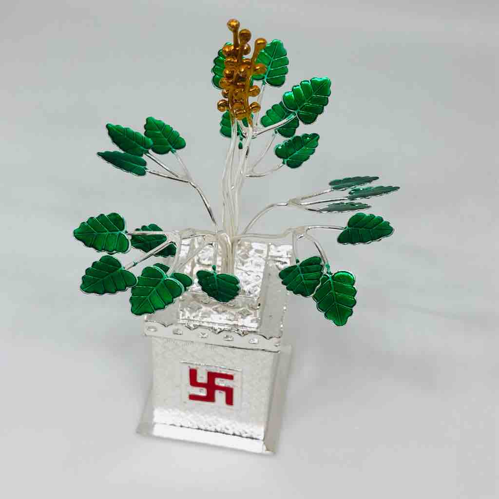 exclusive tulsi Kyara for gift article