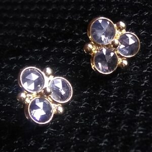 Classic Studded Silver Earrings