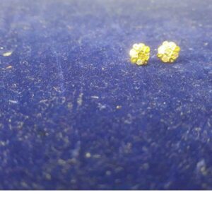 Gold 18kt Ladies Earrings