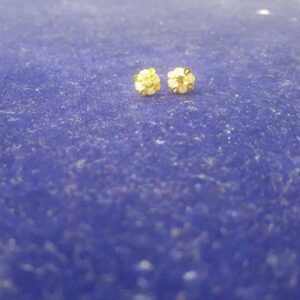 18KT Gold Ladies Tops