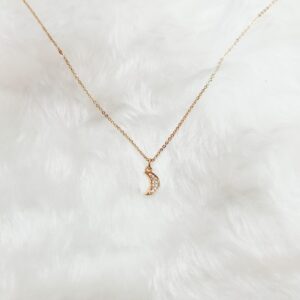 delicate dimond pendent with chain