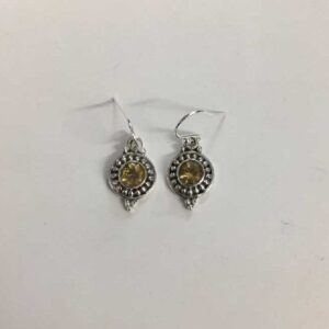 Fancy Silver Diamond Earrings