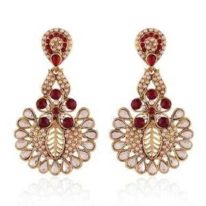 Fancy Earrings