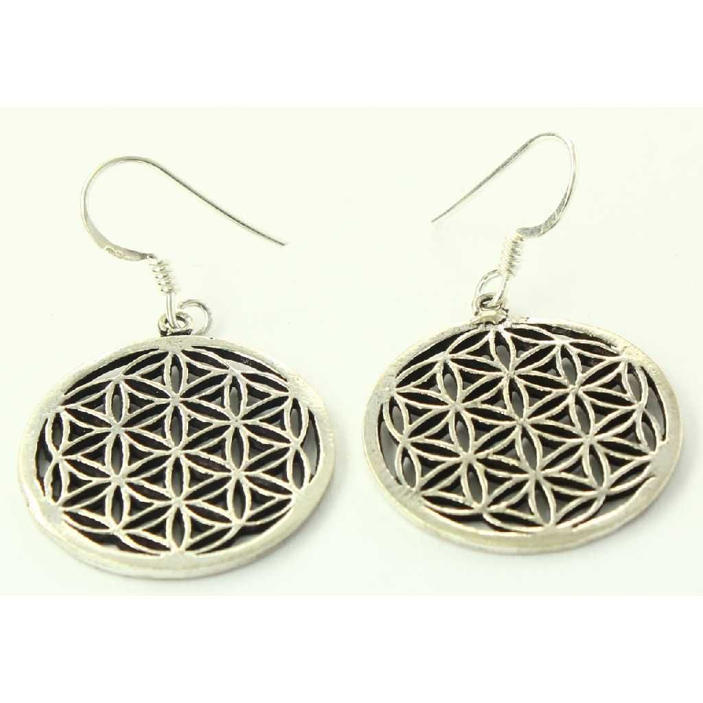 Silver Earrings
