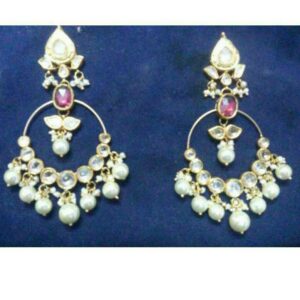 Designer Fancy Earrings