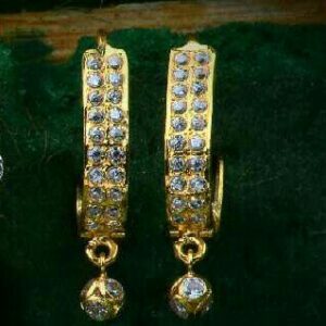 18kt Gold Fancy Ladies Earrings