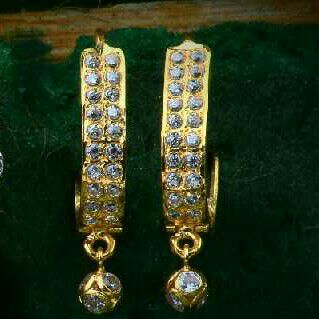 18kt Gold Fancy Ladies Earrings