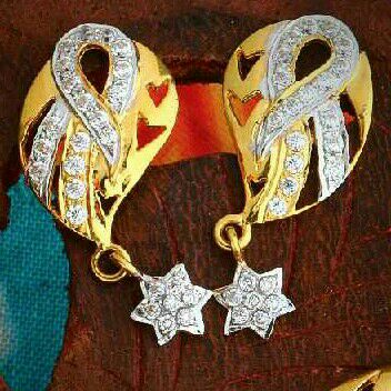 18kt Gold Fancy Ladies Earrings