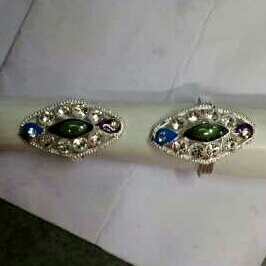 Fancy Bichhiya