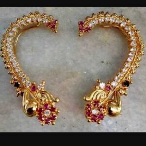 Fancy Earring