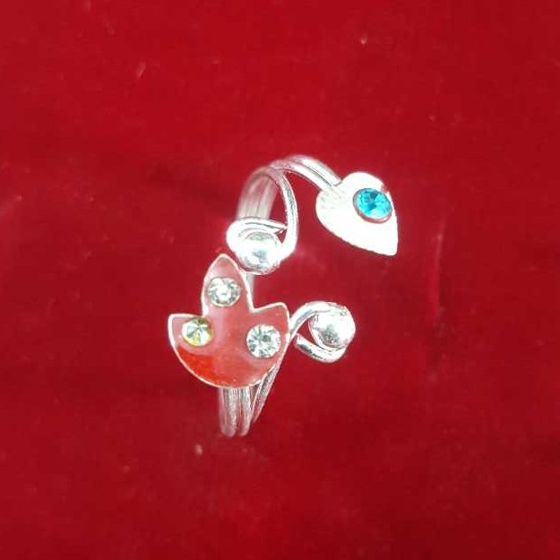 Fancy Bichhiya