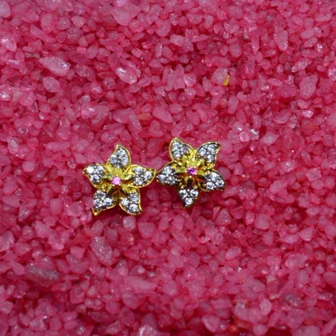 Ladies Earrings