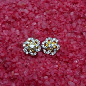 Ladies Earrings