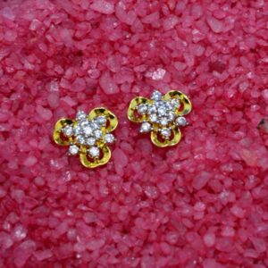 Ladies Earrings