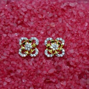 Ladies Earrings
