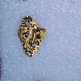 22K/916 Gold Designer