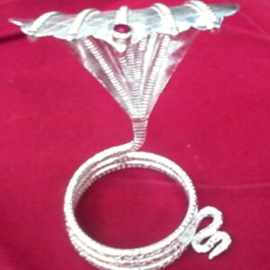 Silver Snake