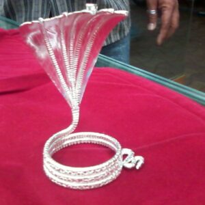 Silver Snake