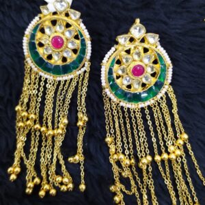 designer earrings#741