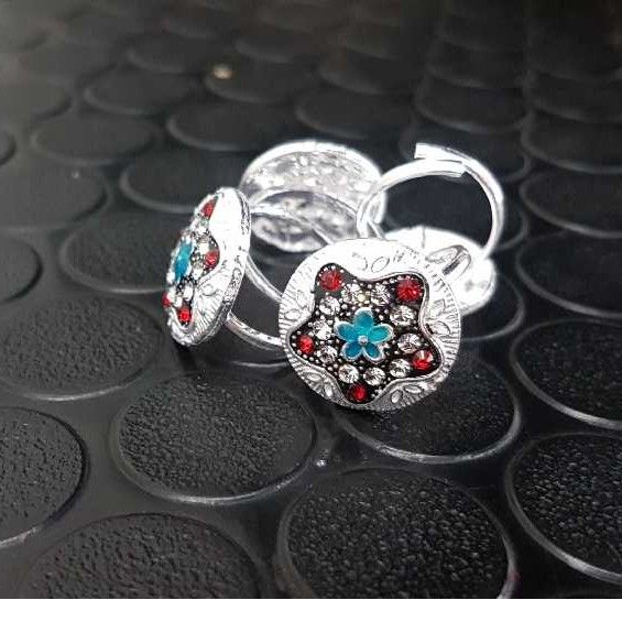 Silver Fancy Bichiya