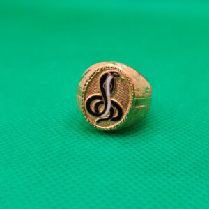 916 fancy nag Devta ring