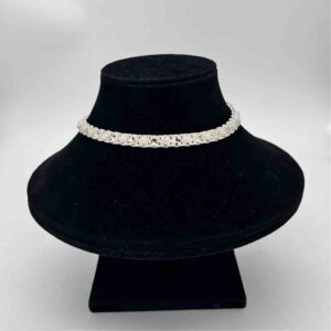 Silver Jodhpuri  Fancy Design Payal