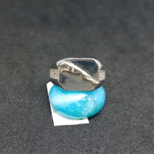 fancy Jaguar ring