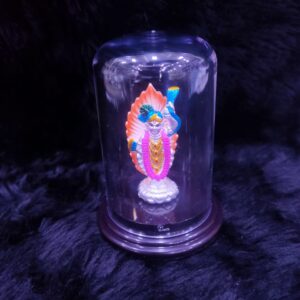 92.5 Sterling Silver shreenathji idol