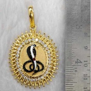 Goga Maharaj Gold Pandal