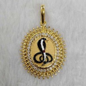 Goga Maharaj Gold Pandal