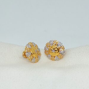 Ladies earrings