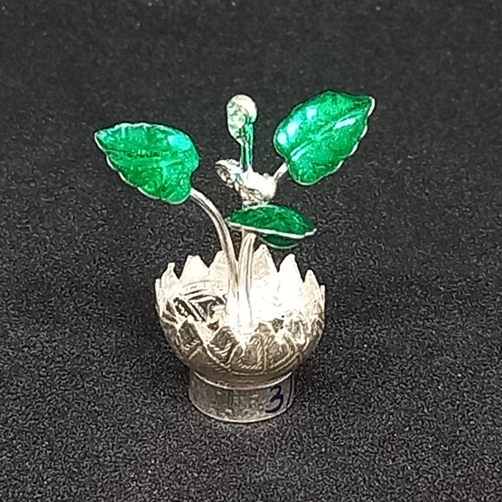 Silvar tulsi kyaro - Image 2