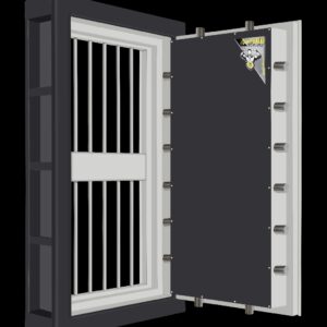 Strong Room Door