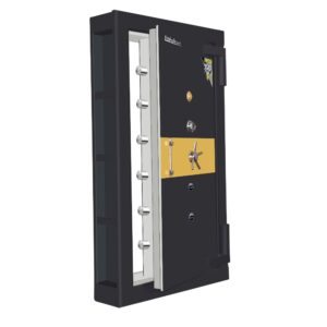 Strong room door