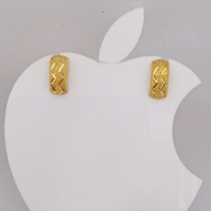 18k Gold Plain Ladies Earring