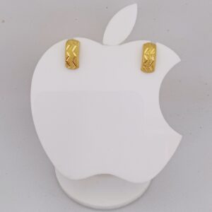 18k Gold Plain Ladies Earring