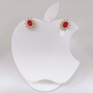 18k Gold Exclusive Red Stone Earring