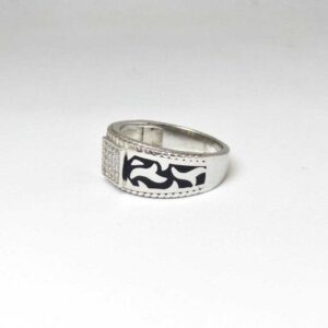 925 Sterling Silver Diamond Oxides Designed Gents Ring