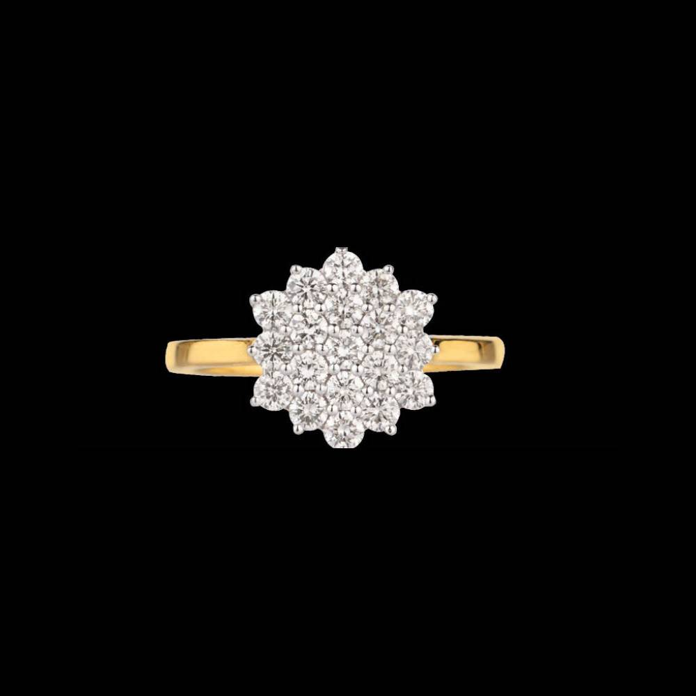 14k Gold Ethinic Regal Rings SCHR86